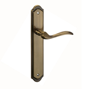 deux poignee de porte plaque 255mmx45mmlaiton brillant finition ma 821